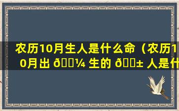 农历10月生人是什么命（农历10月出 🌼 生的 🐱 人是什么命格）